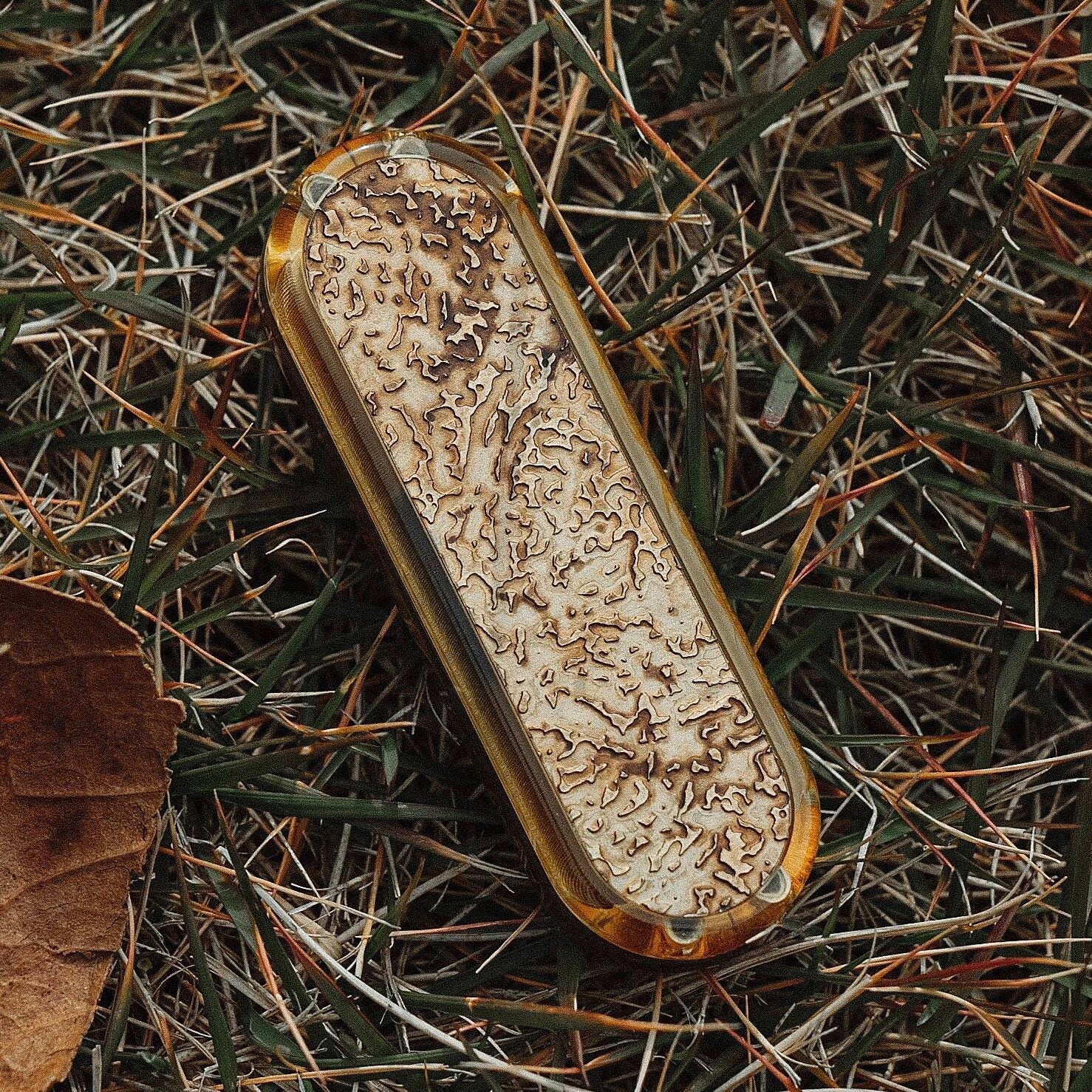 Economy Class ZacLab