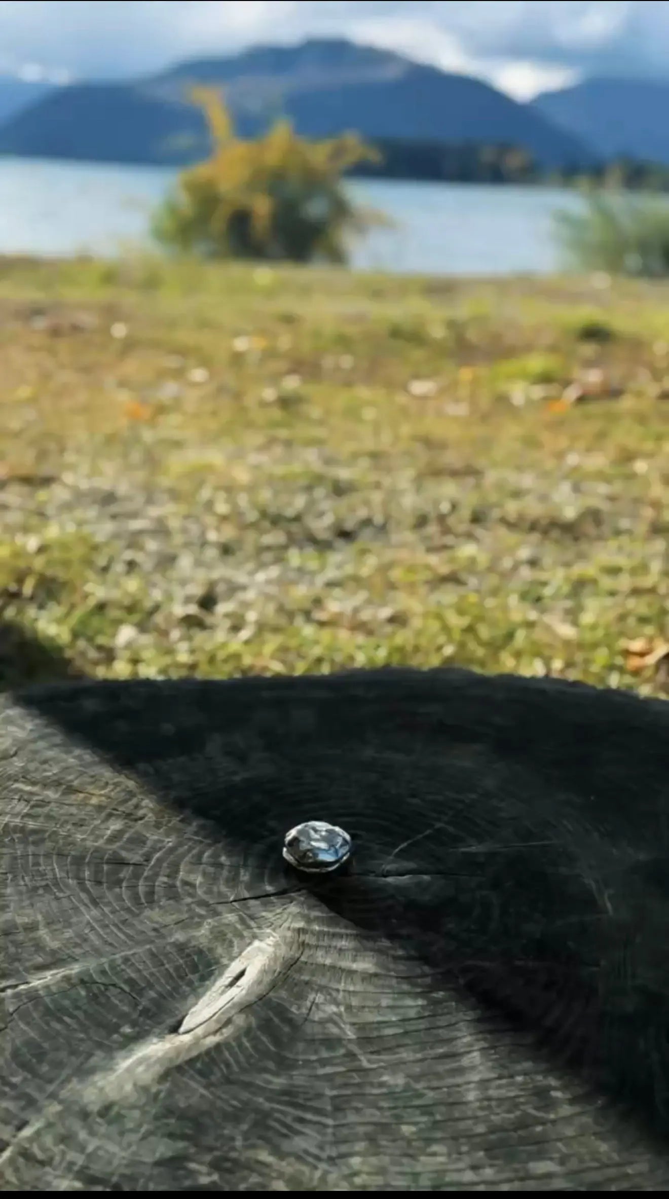 Flow Stone