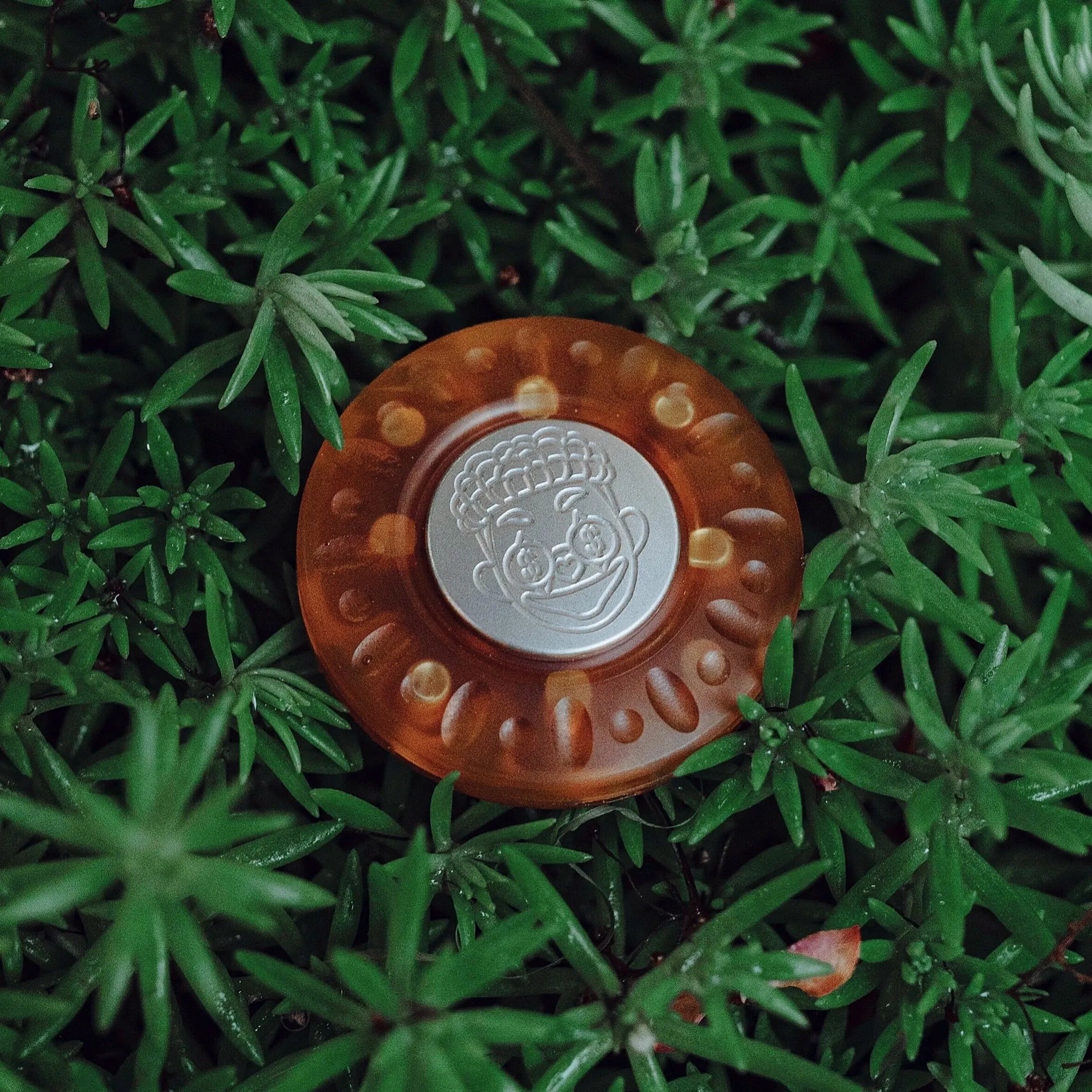 Masa G