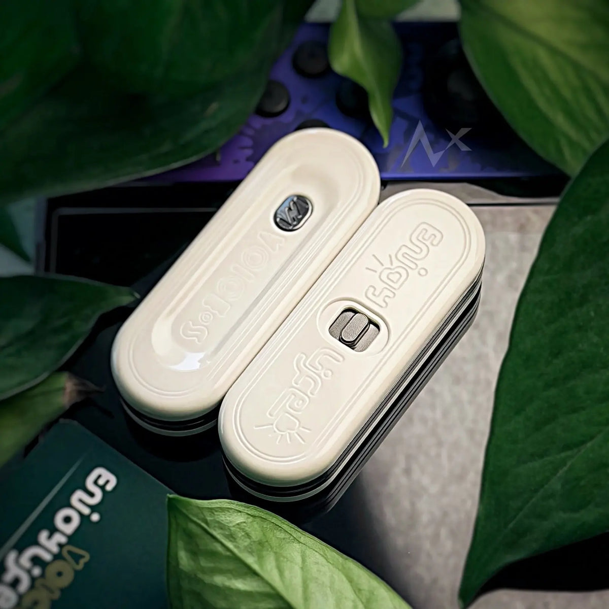 VOICE S