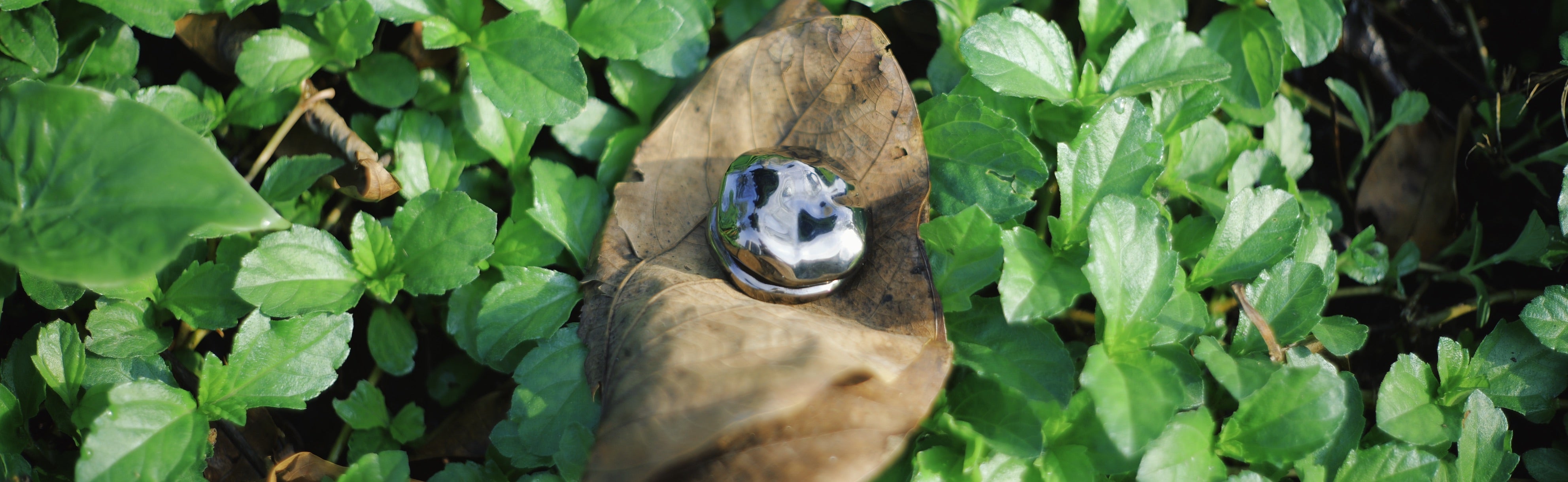 Flow Stone